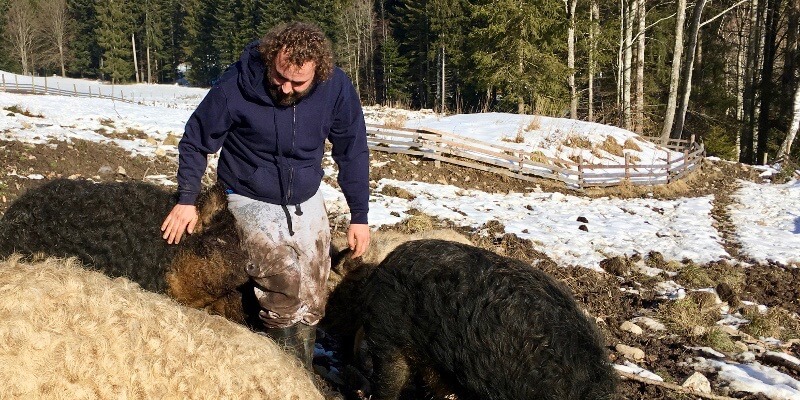 Bio Bauernhof Ziegerhofer St Kathrein am Hauenschlag Steiermark Bio Schwein Mangalitza