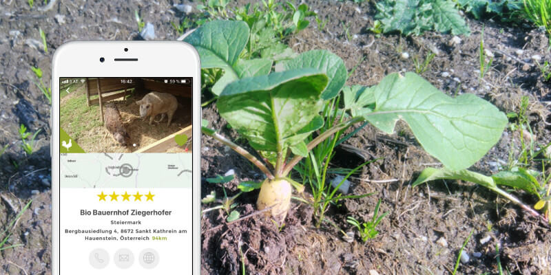 Alles über den Bio Bauernhof Ziegerhofer findet ihr in seinem Profil in der AbHof-App! www.abhofladen.at
