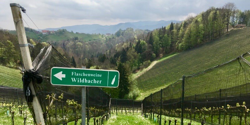Weingut Sternat Eichberg Südsteiermark Steiermark Leutschach